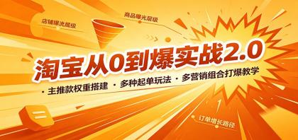 淘宝从0到爆实战2.0：主推款权重搭建，多种起单玩法，多营销组合打爆教学