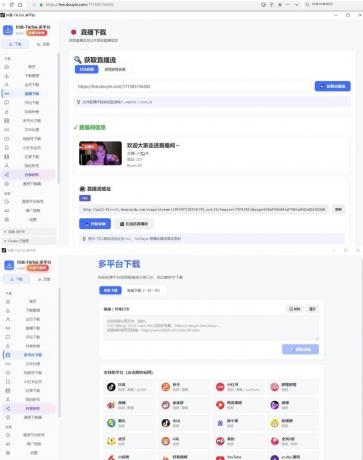 抖音快手小红书TikTok多平台短视频下载器v1.0.1